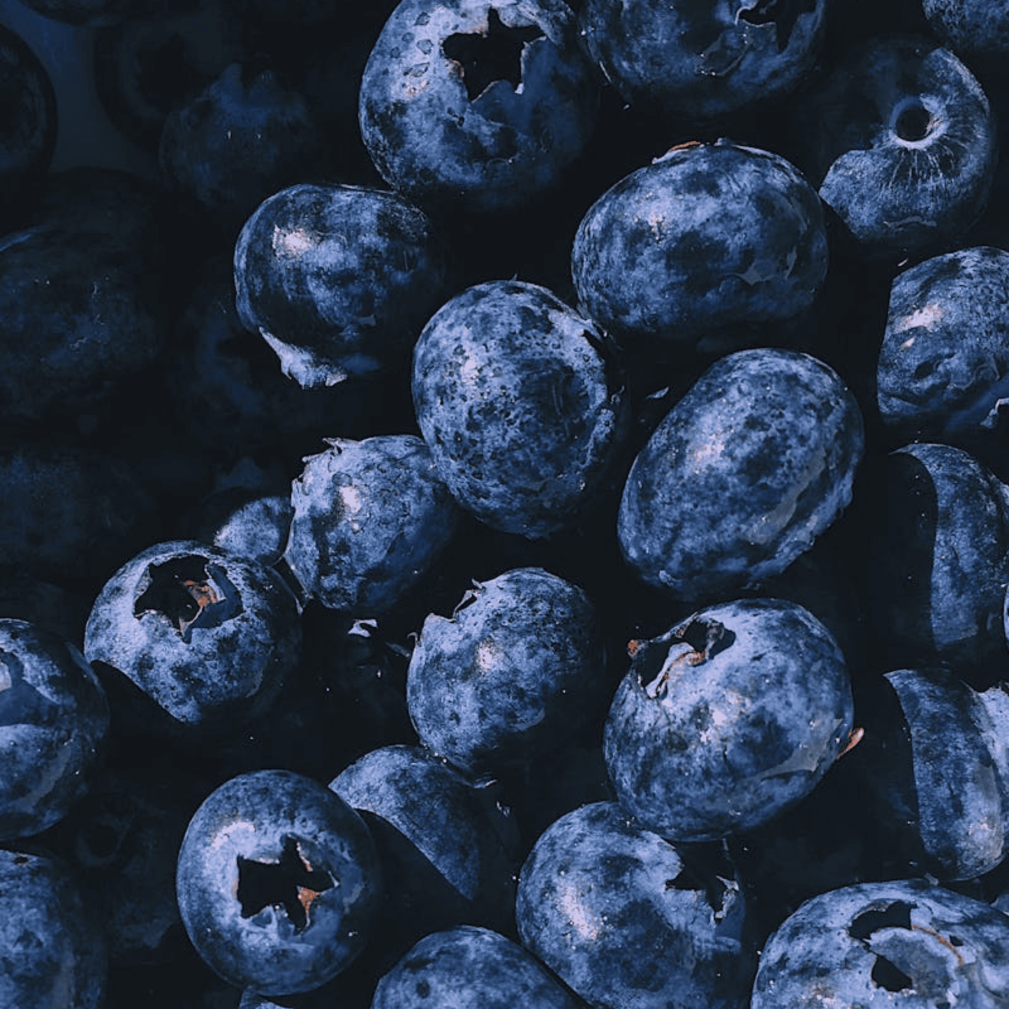 Close-up of fresh blueberries, showing their texture and natural dark blue color